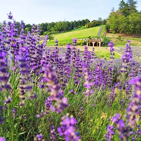 Le Corti Di San Rocco