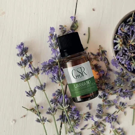 팜스테이 Le Corti Di San Rocco *